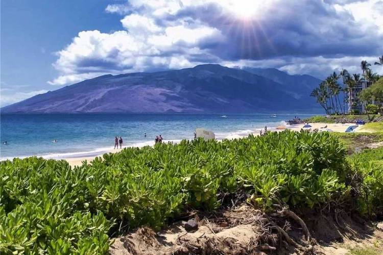 landscape view at Maui Banyan resort